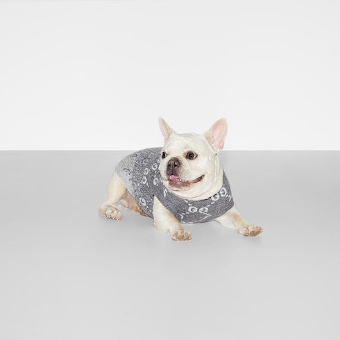 pet sweater - Wool jacquard