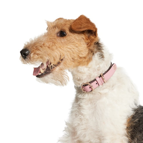 Small/medium collar - powder pink fabric