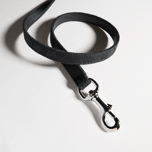Extra-small pet leash - black GG canvas