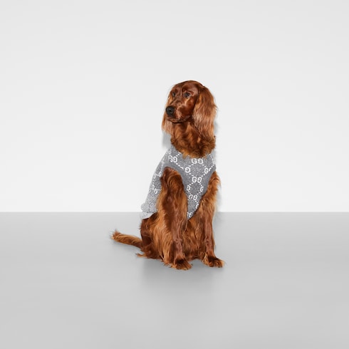 pet sweater - Wool jacquard