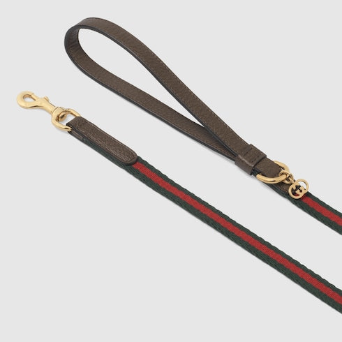 Extra-small pet leash - green and red Web canvas
