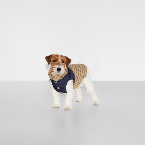 Reversible GG pet coat - beige and blue