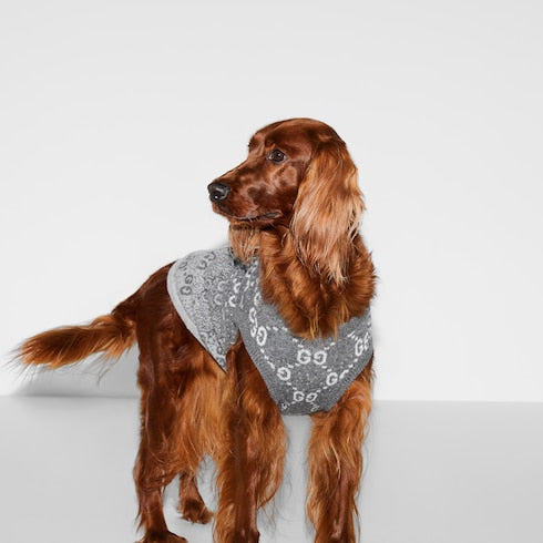pet sweater - Wool jacquard