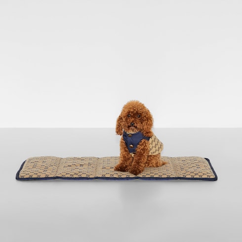 Reversible GG pet coat - beige and blue