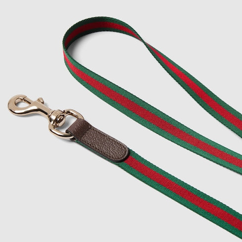 Crossbody pet leash - green and red