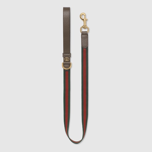 Large Web pet leash - green and red Web canvas