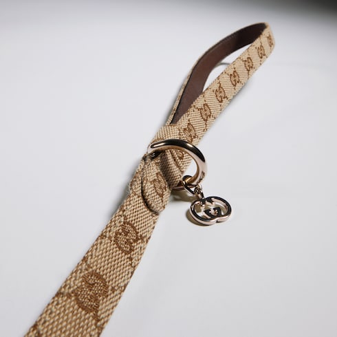 Extra-small pet leash - sand and brown GG canvas