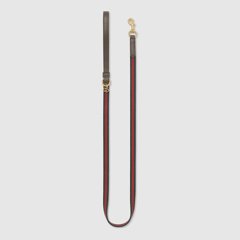 Extra-small pet leash - green and red Web canvas