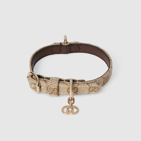 Extra-small pet collar - sand and brown GG canvas