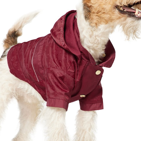 GG nylon pet rain coat - Rosso Ancora red