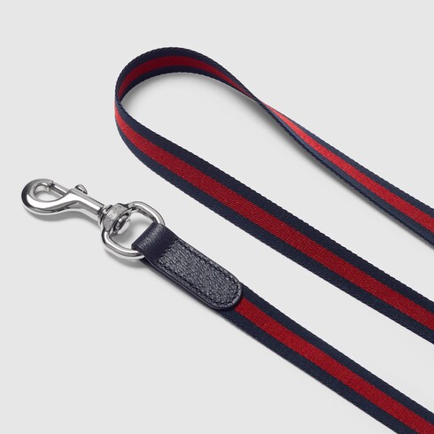 Crossbody pet leash - blue and red