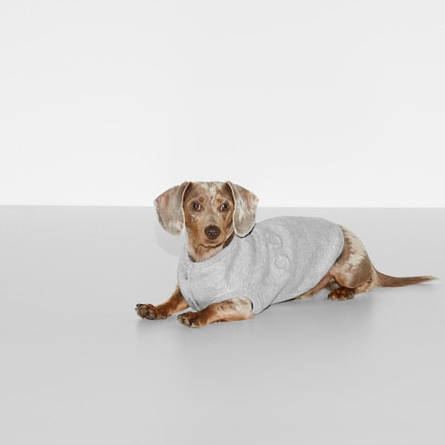 Embossed cotton pet sweatshirt - light grey