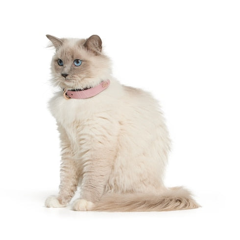 Small/medium collar - powder pink fabric