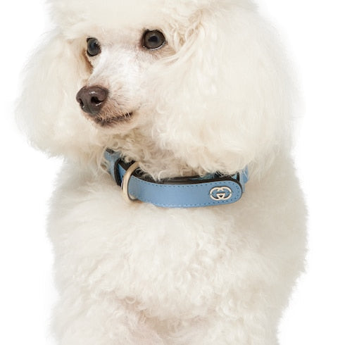 Small/medium collar - light blue fabric