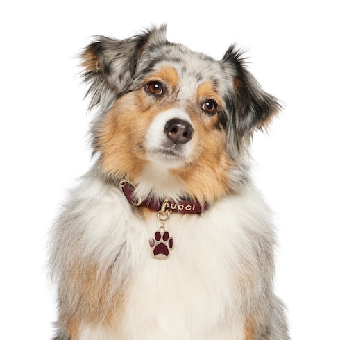 Paw-shaped charm - brass and Rosso Ancora red enamel