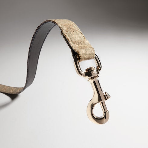 Large pet leash - sand and brown GG canvas