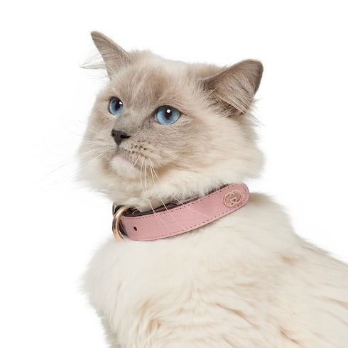 Small/medium collar - powder pink fabric