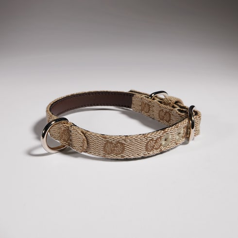 Extra-small pet collar - sand and brown GG canvas