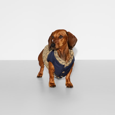 Reversible GG pet coat - beige and blue