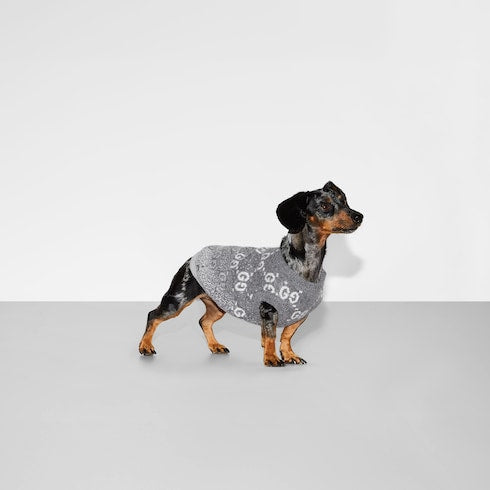pet sweater - Wool jacquard