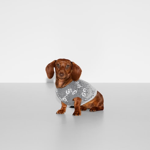 pet sweater - Wool jacquard