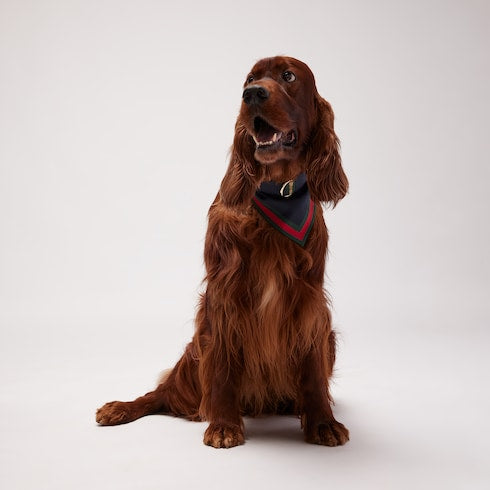 Large/extra-large pet bandana - dark blue silk