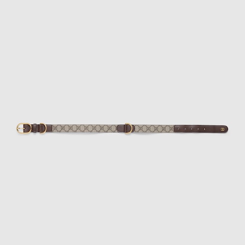 Large/extra-large pet collar - beige and ebony Supreme