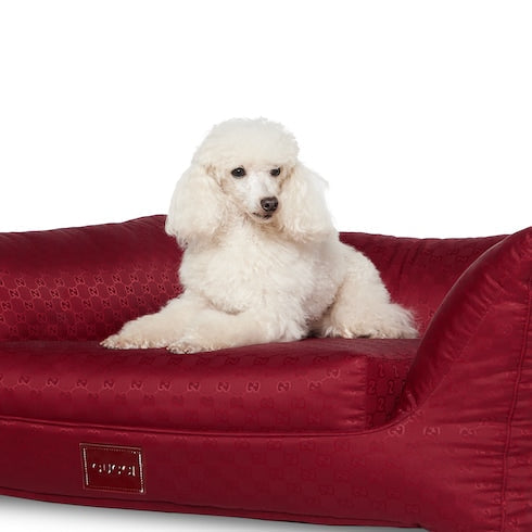 GG nylon pet bed - Rosso Ancora red