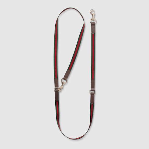 Crossbody pet leash - green and red